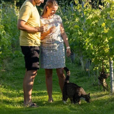 خيمة فخمة Holmegaard Vin Og Glamping Dannemare