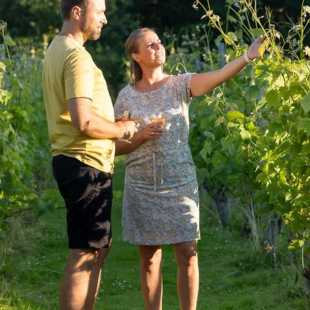 خيمة فخمة Holmegaard Vin Og Glamping Dannemare