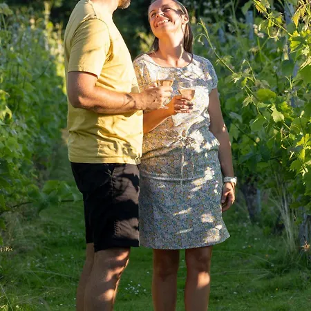 Holmegaard Vin Og Glamping *