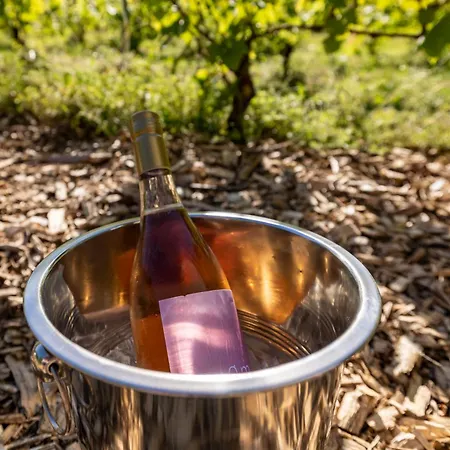 Holmegaard Vin Og Glamping *